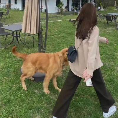 网红喵星人